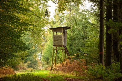 Neuverpachtung der Eigenjagdbezirke der Sennegemeinde Hövelhof