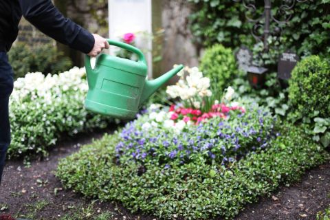 Wasser auf dem Friedhof wieder angestellt