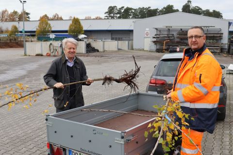  1.000-Bäume-Programm in Hövelhof startet wieder