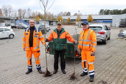 Gemeinde Hövelhof verschenkt 530 Bäume