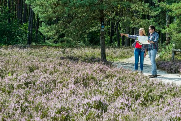 Emsquellen Wanderweg