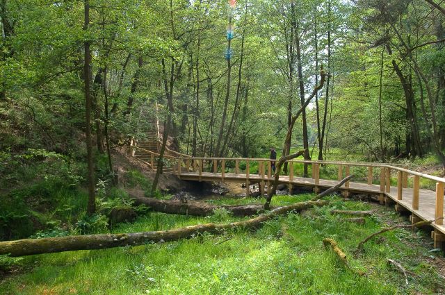 Immobiliengutachter Schloß Holte Stukenbrock Kk