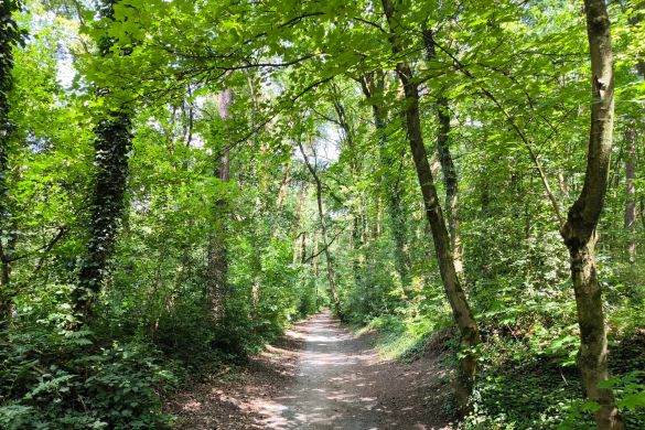 Heimatkundlicher Wanderweg