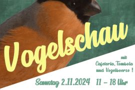 Vogelschau in Delbrück-Lippling